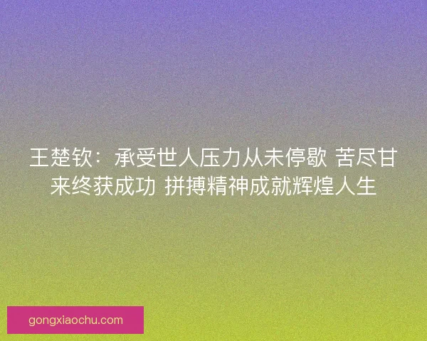 王楚钦：承受世人压力从未停歇 苦尽甘来终获成功 拼搏精神成就辉煌人生